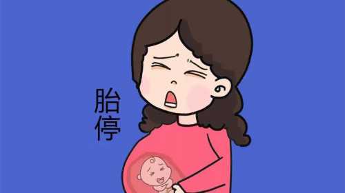 广州可靠的代孕服务费用|新疆医学院试管婴儿养