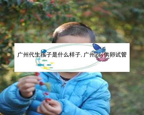 广州代生宝宝需要|CrT85_Gw1qD_15352_6gltM_地贫基因三项结果怎么看是不是在正常范